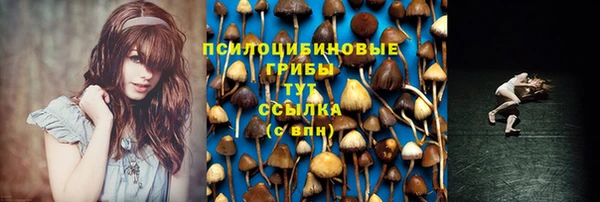 круглые Арсеньев